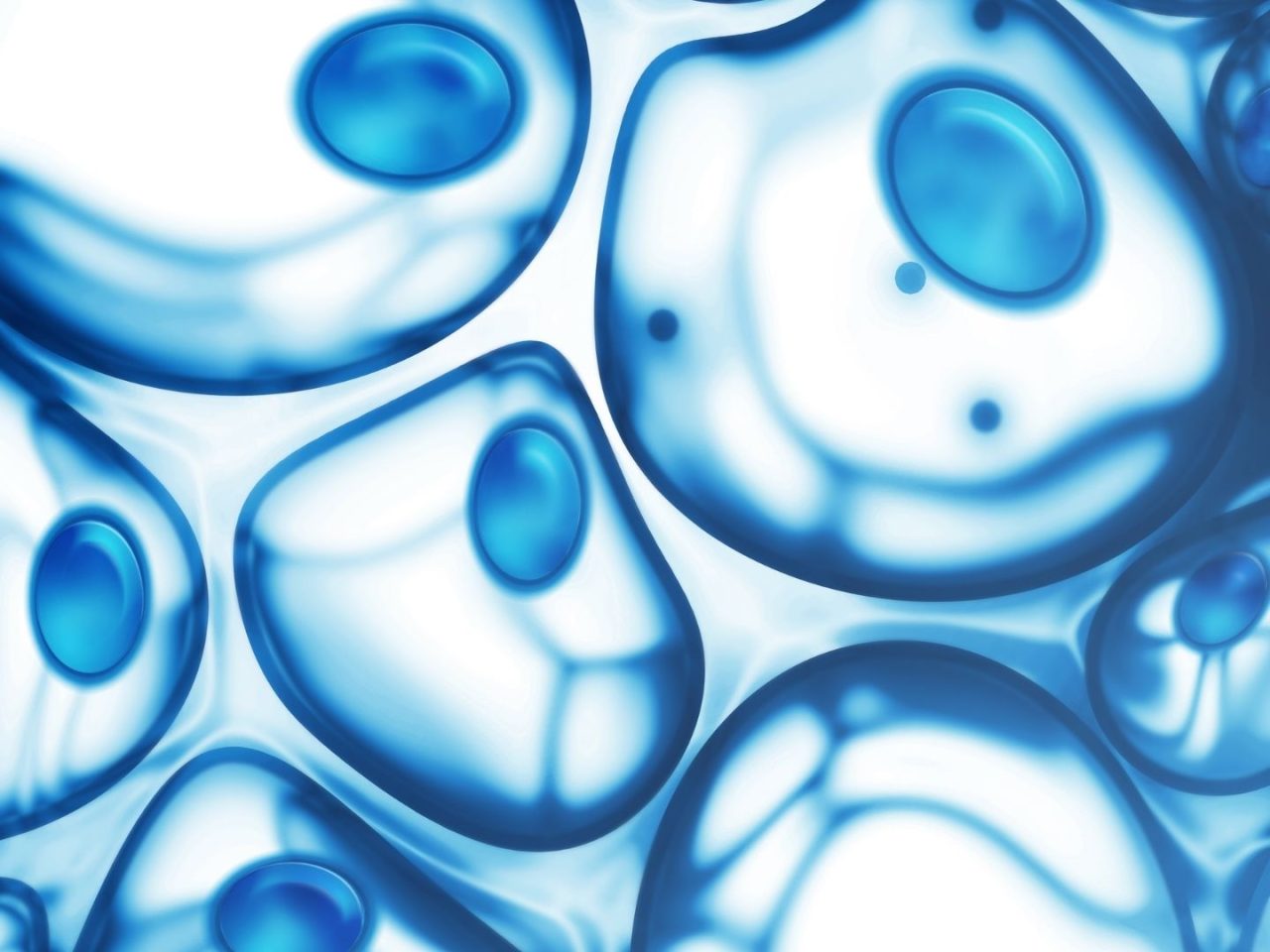 El envejecimiento celular deja una huella propia en miles de prote&iacute;nas humanas