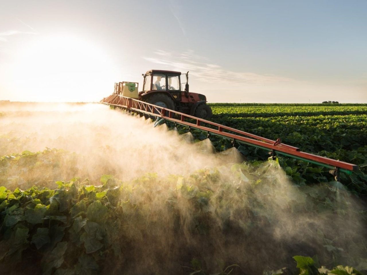 Los digestatos agr&iacute;colas pueden reducir la dependencia europea de fertilizantes importados